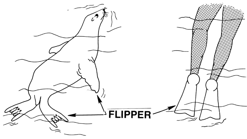 File:Flipper (PSF).png