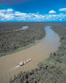 Southern New Guinea freshwater swamp forests