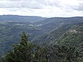 Mont Aigoual (versant sud et forestier).