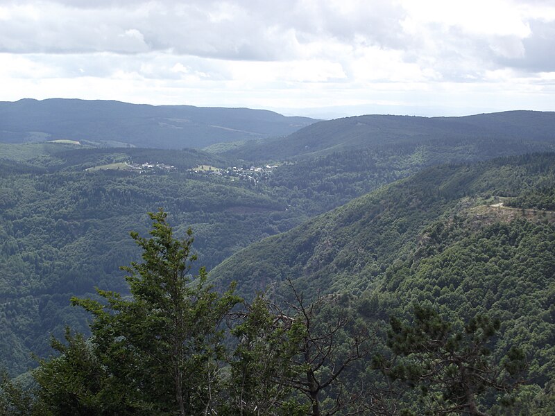 File:Forêt Aigoual.JPG