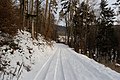* Nomination Forest road in the winter near Javůrek, Czechia --Podzemnik 06:40, 1 February 2019 (UTC) * Promotion  Support Good quality. --XRay 06:42, 1 February 2019 (UTC)