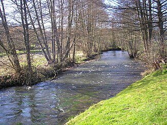 The river at Le Mesnil-Guillaume