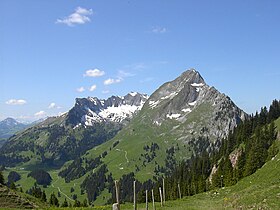 Der Dent de Brenleire und der Vanil Noir im Hintergrund.