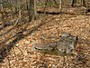 French Creek State Park: Six Penny Day Use District French Creek Foundation.JPG