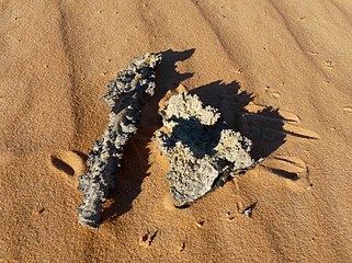 Fulgurites, Mauritanian desert