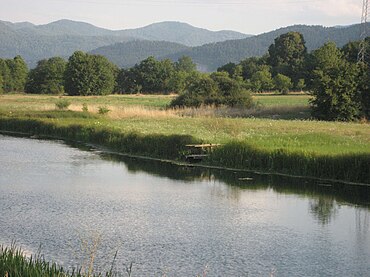 Gacko polje