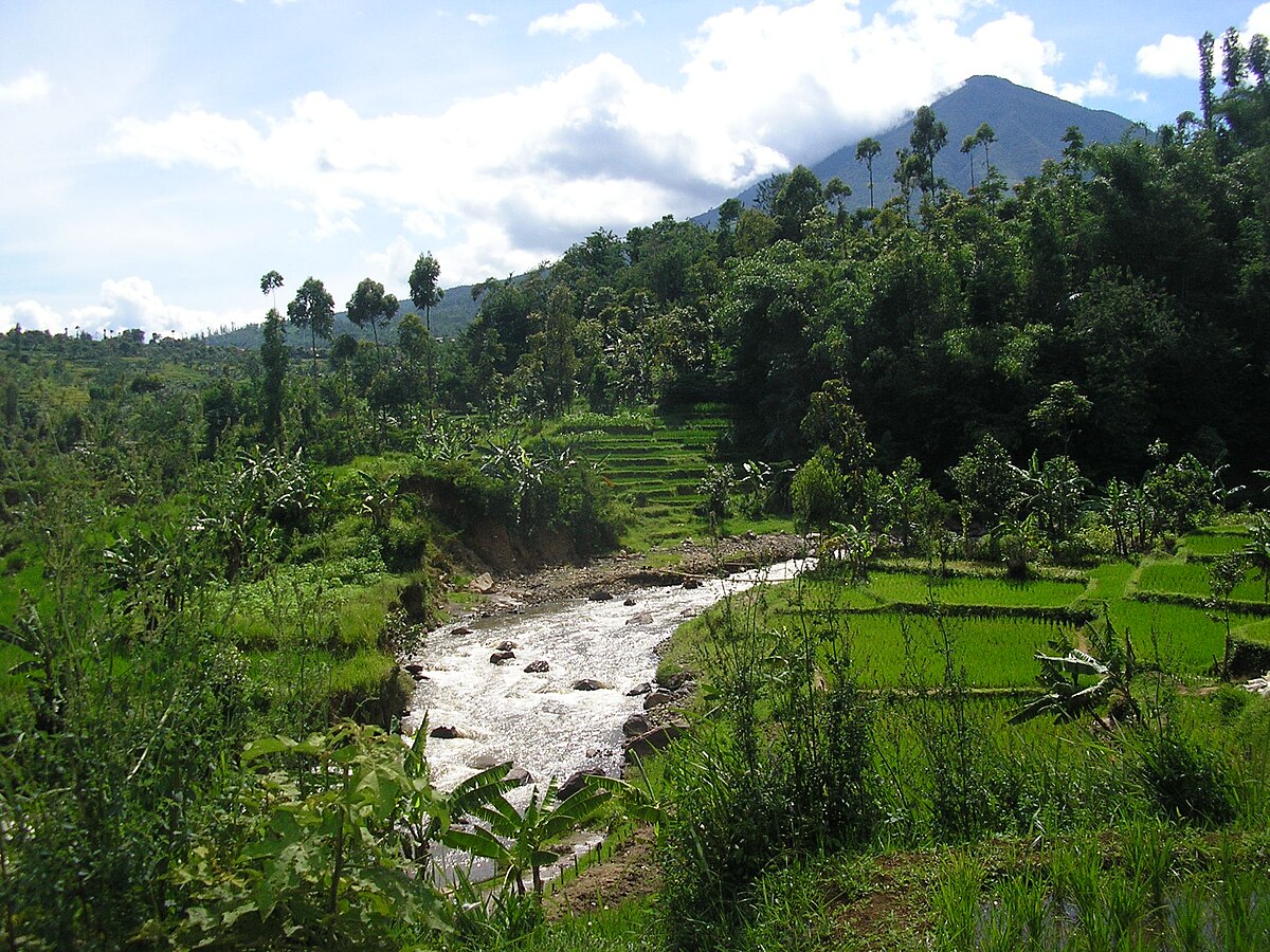  Garut  Wikipedia