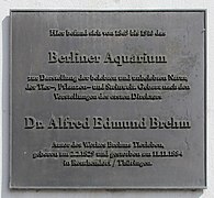 Gedenktafel Unter den Linden 62 (Mitte) Alfred Edmund Brehm.jpg