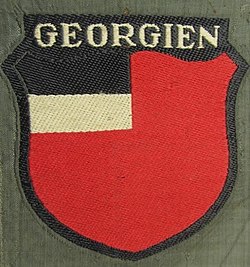 Georgian legion arm shield