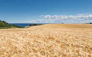 Mecklenburg-Vorpommern: Geographie, Name, Geschichte