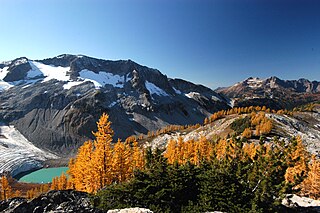 Ecology of the North Cascades Ecosystems of the Cascade mountain range in northern Washington state and southern British Columbia