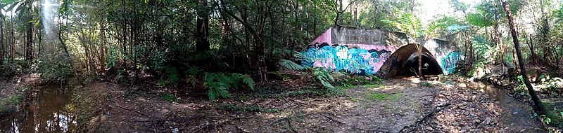 File:Graffiti and Cockle creek - Ku-ring-gai chase national park -Sydney 2022 - 17.jpg