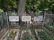Grave of Silvestr Pokko.jpg