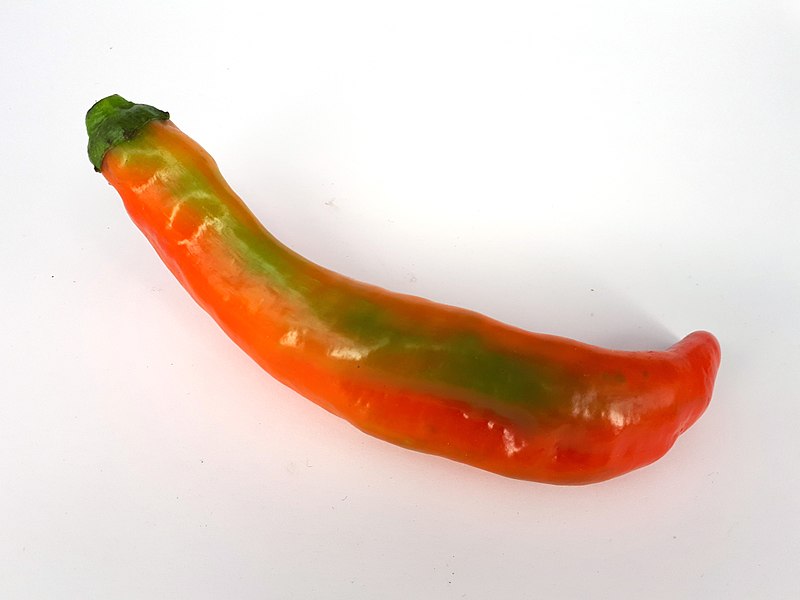 File:Green-orange-yellow capsicum 2017 C.jpg