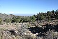 High elevation (8100 ft) campground near summit.