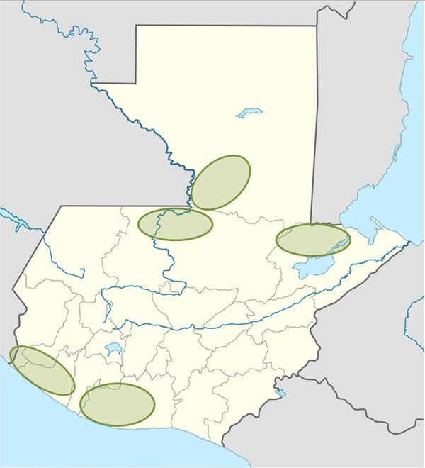 African oil palm plantation areas in Guatemala as of 2014.