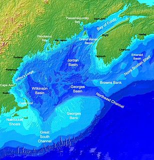 Gulf of Maine A large gulf of the Atlantic Ocean on the east coast of North America