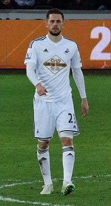 Gylfi Sigurdsson 2015. jpg