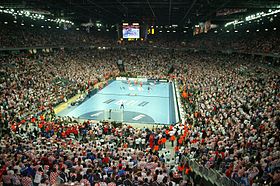 Illustratives Bild des Artikels Finale der Handball-Weltmeisterschaft der Männer 2009