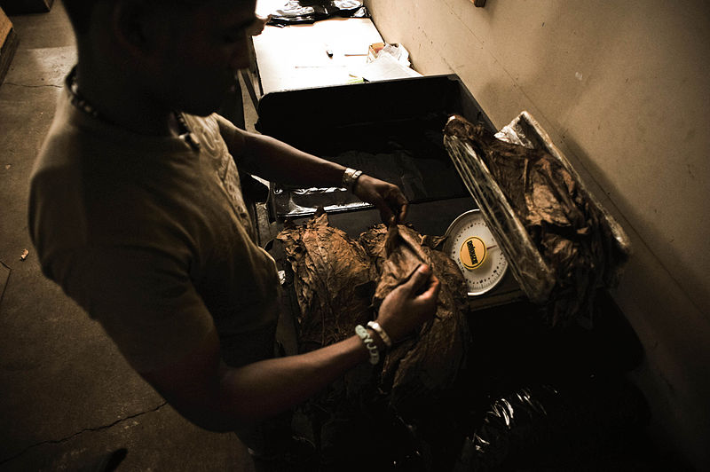 File:Handmade cigar production. Manufacture worker. Tabacalera de Garcia Factory. Casa de Campo, La Romana, Dominican Republic (4).jpg