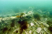 The propeller shaft of Clara Nevada on the sea floor. HasslerWreck.jpg