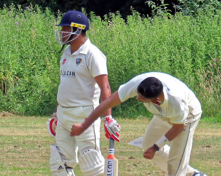 File:Hatfield Heath CC v. Takeley CC on Hatfield Heath village green, Essex, England 16.jpg