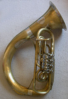 <span class="mw-page-title-main">Helicon (instrument)</span> Musical instrument in the tuba family