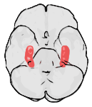 SVG-bestand