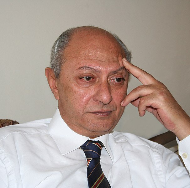 File:Hisham Bastawisy.JPG