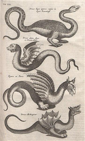 File:Historiae naturalis de serpentibus libri II 1665 (22303290).jpg