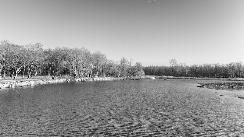 File:Hollandse Hout, natuurgebied in Flevoland. 07-02-2020. (actm.) 42.jpg