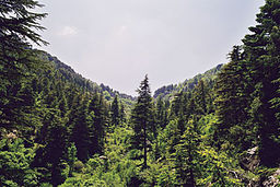 Vy över en dal i Horch Ehden, juli 2007