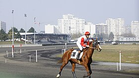 Imagem ilustrativa do artigo Hippodrome de la Champagne