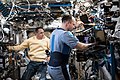 ISS-54 Anton Shkaplerov and Alexander Misurkin work inside the Destiny lab.jpg