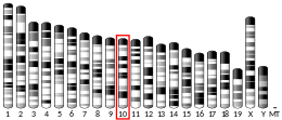 Ideogram house mouse chromosome 10.svg