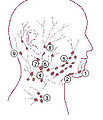 Regional lymph nodes