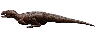 <i>Indosuchus</i> Abelisaurid theropod dinosaur genus from the Late Cretaceous Period