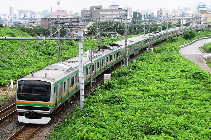 File:JR East E231 U514 Utsunomiya Line Local for Ueno between Utsunomiya and Suzumenomiya Stations.jpg