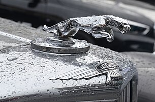 Emblème sur le bouchon de radiateur de la version drophead coupé d'une Jaguar Mark V. (définition réelle 3 748 × 2 482)