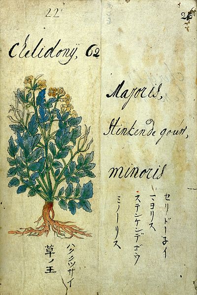 File:Japanese Herbal, 17th century Wellcome L0030059.jpg