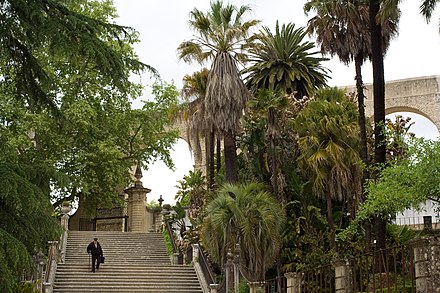 Botanical garden of the university of Coimbra