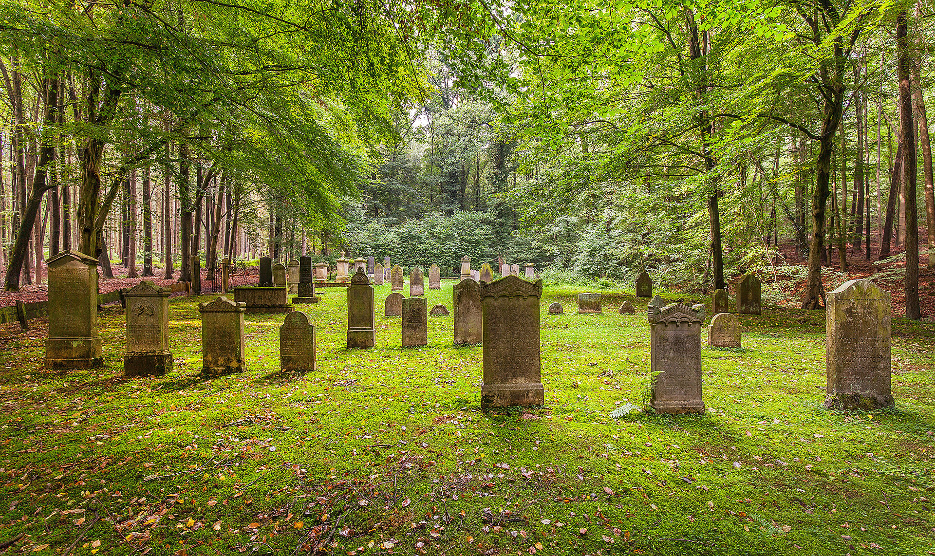 Jüdischer-Friedhof Preussisch-Oldendorf.jpg