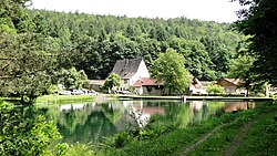 Kartause Grünau with fish pond.JPG