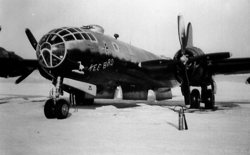 Kee Bird The Day It Crashed - 19 Feb 1947