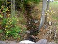 The best of the Kinney Run pictures. Looking upstream. October 14, 2013.