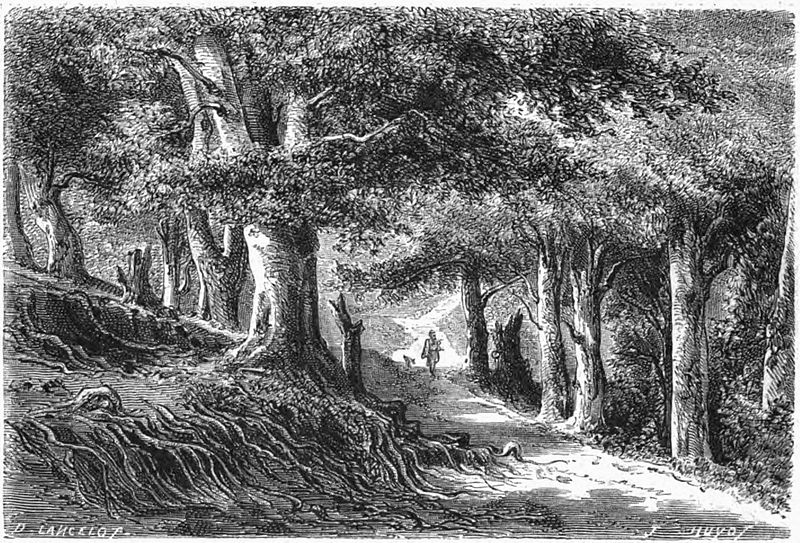 File:Lancelot - Forêt à Baia-de-Fier.jpg