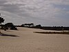 The Soesterduinen dunes are one of the major training areas for the Dutch army