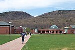 Vignette pour Université Quinnipiac