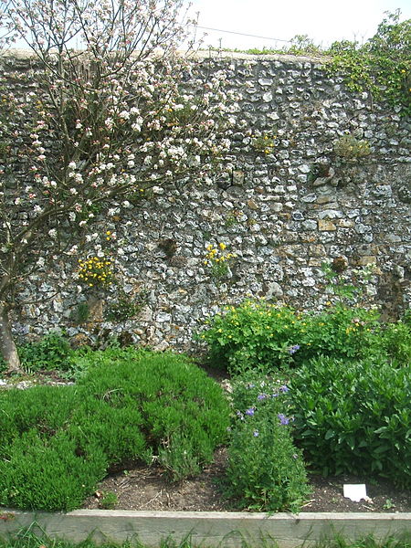 File:Lewes Priory herb garden.jpg