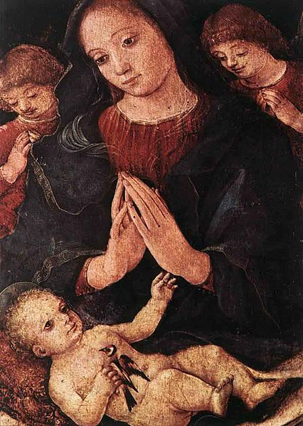 File:Liberale da Verona Madonna del cardellino.jpg